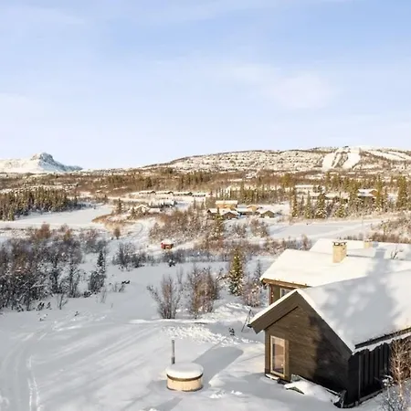 Moderne Storhytte Med 5 Soverom Og 3 Bad *