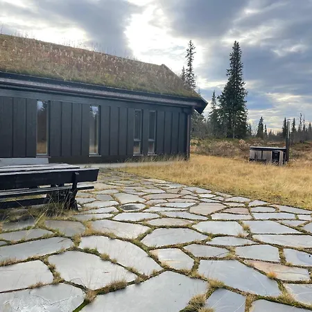 Moderne Storhytte Med 5 Soverom Og 3 Bad *