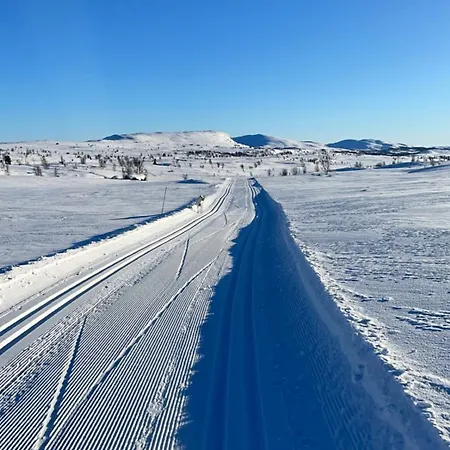 Moderne Storhytte Med 5 Soverom Og 3 Bad * Beitostolen