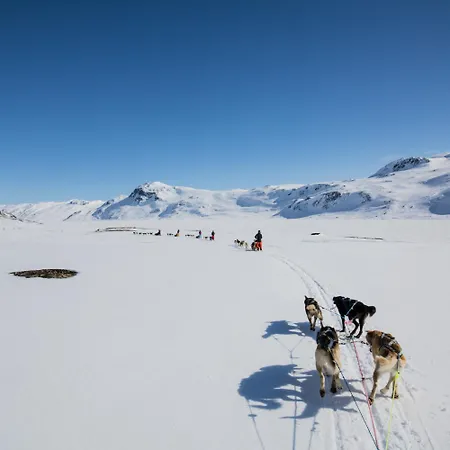 別荘 Moderne Storhytte Med 5 Soverom Og 3 Bad