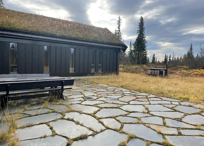 Moderne Storhytte Med 5 Soverom Og 3 Bad *