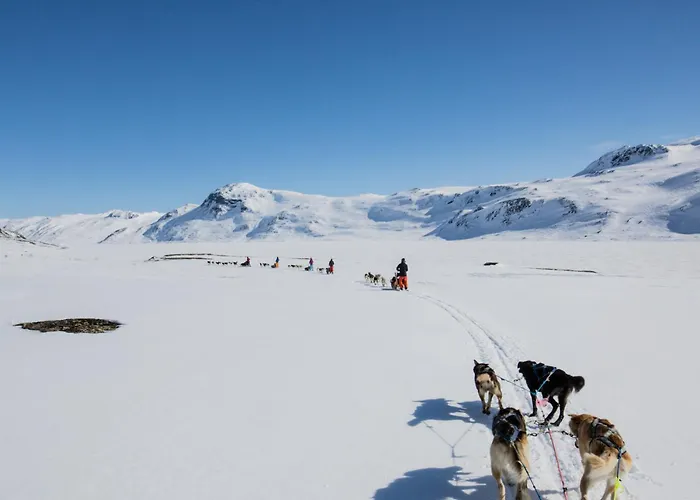 Hébergement de vacances Moderne Storhytte Med 5 Soverom Og 3 Bad